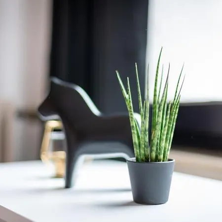 Zentrales - 2 Boxspringbetten - Netflix Kassel