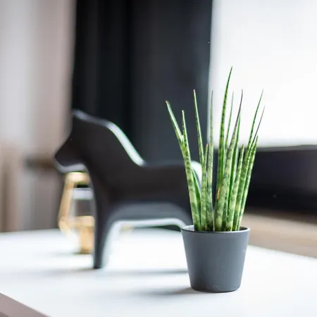 Zentrales – 2 Boxspringbetten – Netflix *