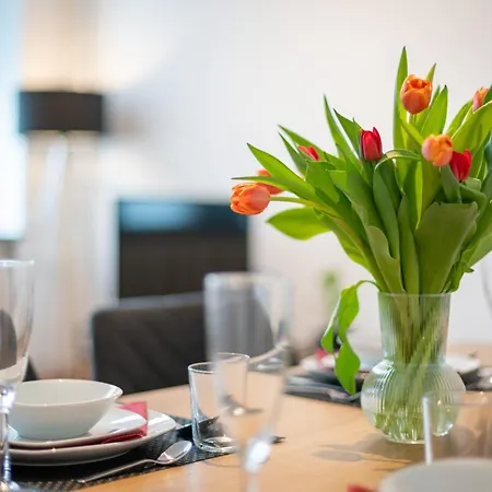 Zentrales – 2 Boxspringbetten – Netflix Appartement Kassel