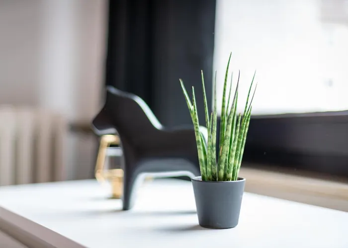 Lofts - Zentrales - Boxspringbetten *